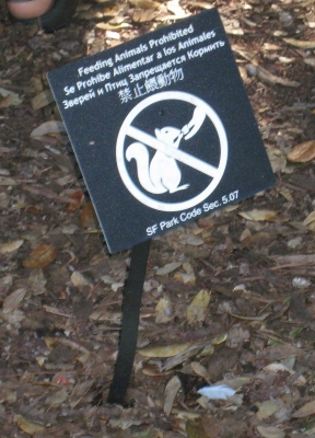 Don't Use Your Hands