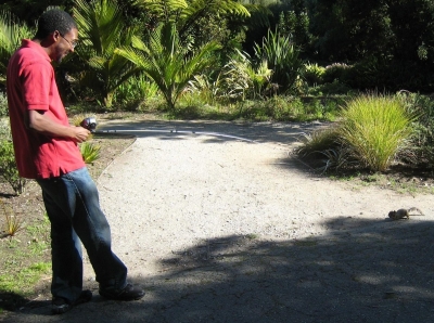 C'mere, little guy...