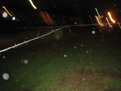 Webbed Webbed
