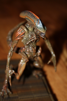 An alien!