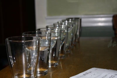 Spidere's glasses