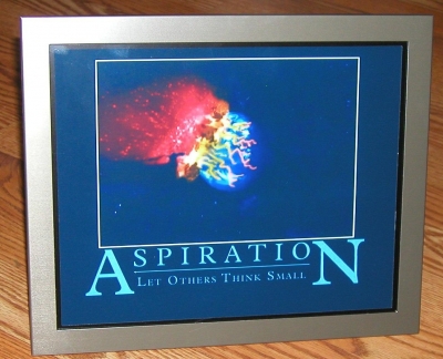 Aspiration, framed