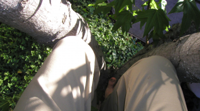 Yep...I'm barefoot...in a tree...