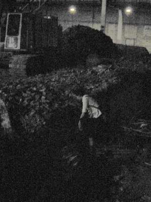 Dax in the basement Dax in the basement