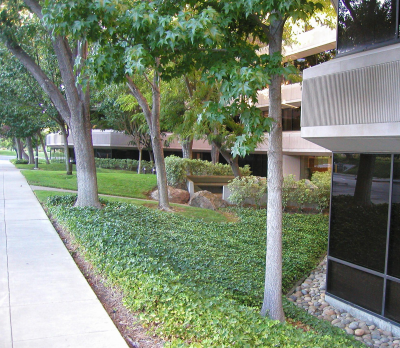 A nice building, surrounded by nature