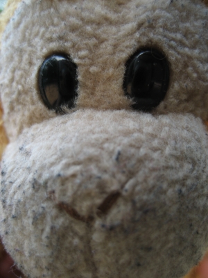 The monkey!