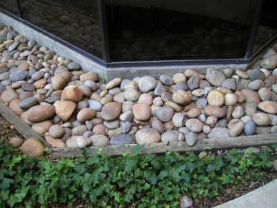 In amongst the stones along the border