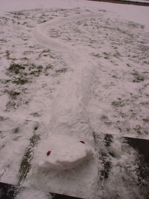 Snow snake Snow snake