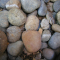 I think the rocks and wire make a nice thumbnail