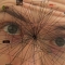 Networked