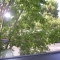 another window shot