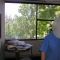 the office and window