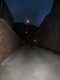 The night.  The street.  The alley.