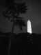 Washington