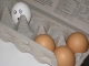 Scared egg