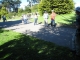 Another Group