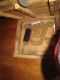 trap door