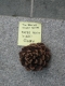 20080817160532_last_note.JPG