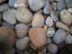 I think the rocks and wire make a nice thumbnail
