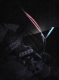 debris-choked stairwell