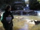 Swallow Falls