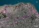 gps track across the city