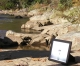 The river