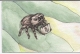Postcard closeup