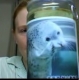 seal2.jpg