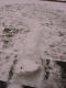 Snow snake