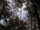 Tower 2