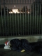 In front of the White House