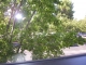 another window shot