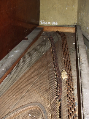 Rat in Piano