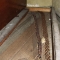 Rat in Piano