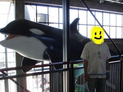 me and another whale