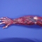 Arm