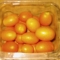 Kumquats Kumquats