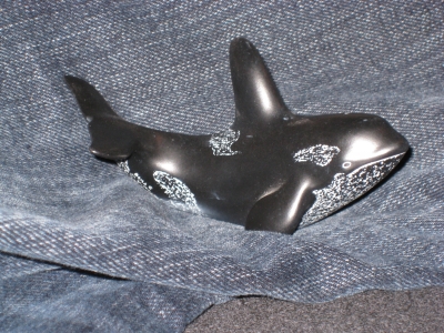 this represents Shamu