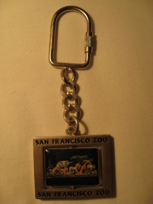 from my visit to the zoo