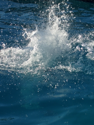 this water is very blue