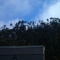 Sutro in the distance Sutro in the distance