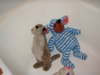 Meerkat and Mumpweasel