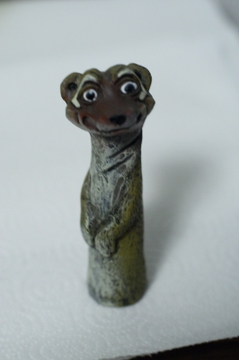 meerkat!