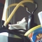wrist rocket.jpg
