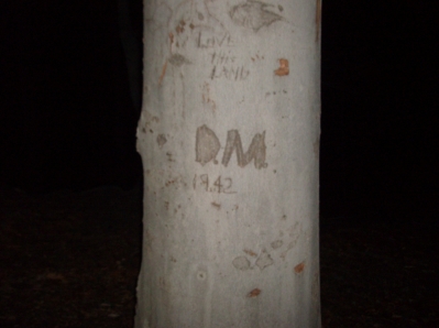 D.M. D.M.