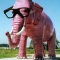 pinkelephant.jpg