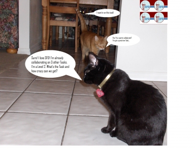 3 Cats--One Task