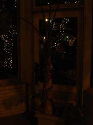 Tree Tree