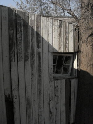 Window Window